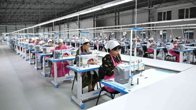 Президент Жолдауын жүзеге асыру: Қазақстандағы әлеуметік саясаттың жүйелі шаралары мен нәтижелері