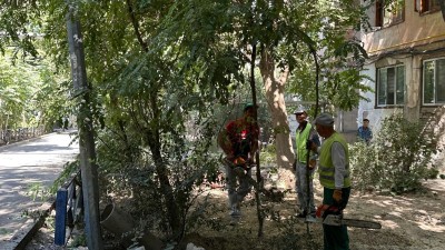 ШЫМКЕНТ: "ТАЗА ҚАЗАҚСТАН" ЭКОЛОГИЯЛЫҚ АКЦИЯСЫ АЯСЫНДАҒЫ КЕЗЕКТІ ТАЗАЛЫҚ ІС-ШАРАСЫ ӨТТІ