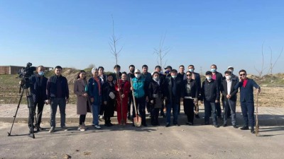 Журналистер аллеясына 100-ге жуық ағаш отырғызылды