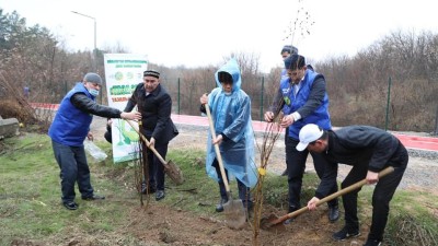 Дендросаябаққа 200-ден аса ағаш отырғызылды