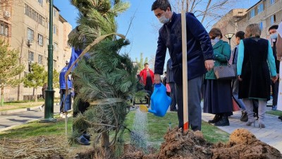 Орта Азияда жоқ Smart ағаштар Шымкентте отырғызылды