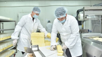 Шымкенттің балмұздағы шартарапқа тарамақ