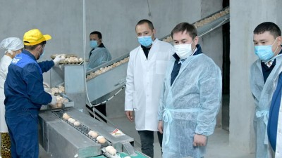 «Тассай құс» ЖШС өнімділігін арттыруда