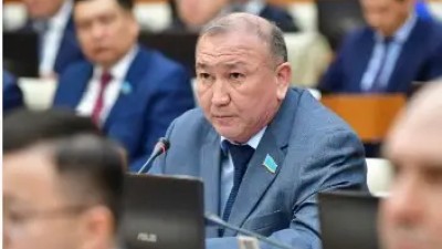 Қазақстанда саяси партияларды шетелдік қаржыландыруға тыйым салу ұсынылды