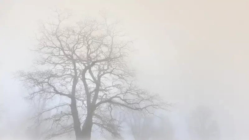 ​Штормовая погода объявлена в 12 регионах Казахстана