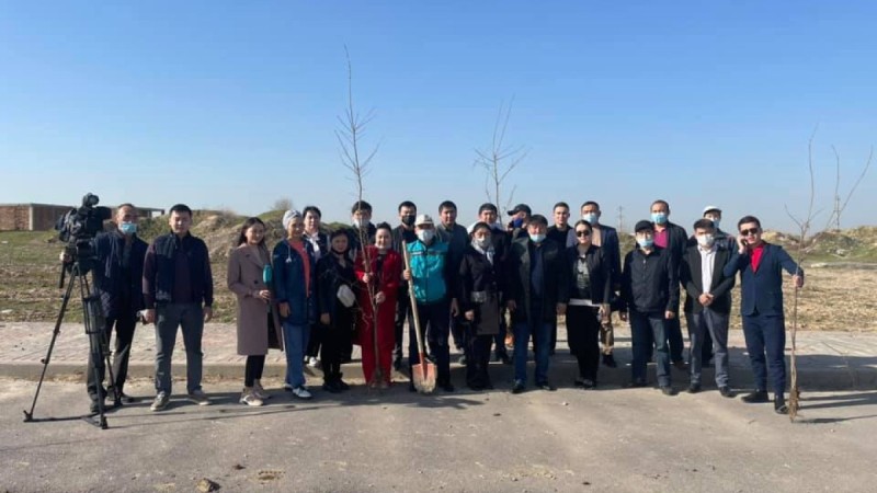 Журналистер аллеясына 100-ге жуық ағаш отырғызылды