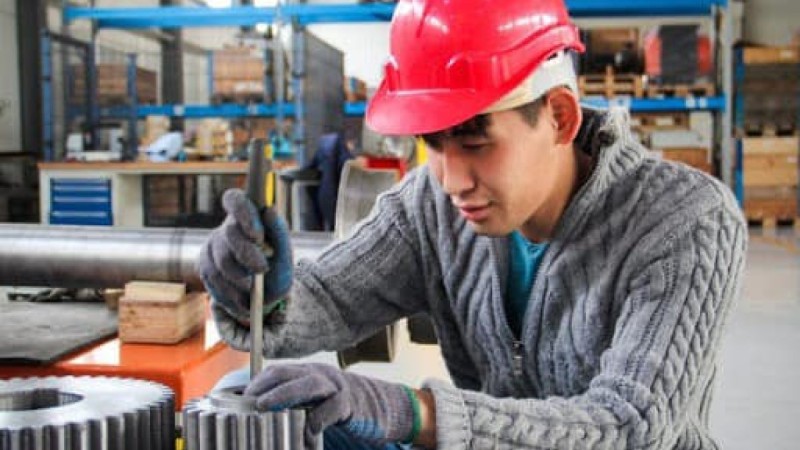 Бес жылда кәсіптік білімнің 42% дуальды оқытуға көшеді