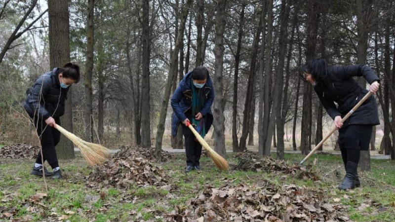 Шымкентте жалпықалалық сенбілік өтеді