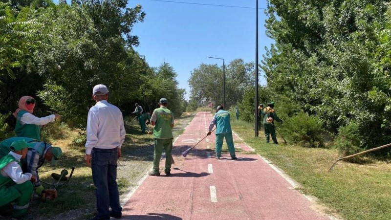 Дендросаябақтағы өрттен ағаштарға зақым келген жоқ