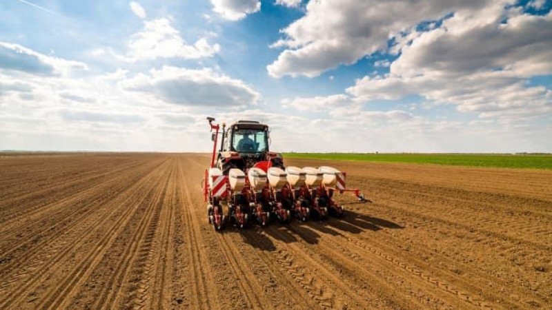 Шымкентте егіс алқабы кеңейді