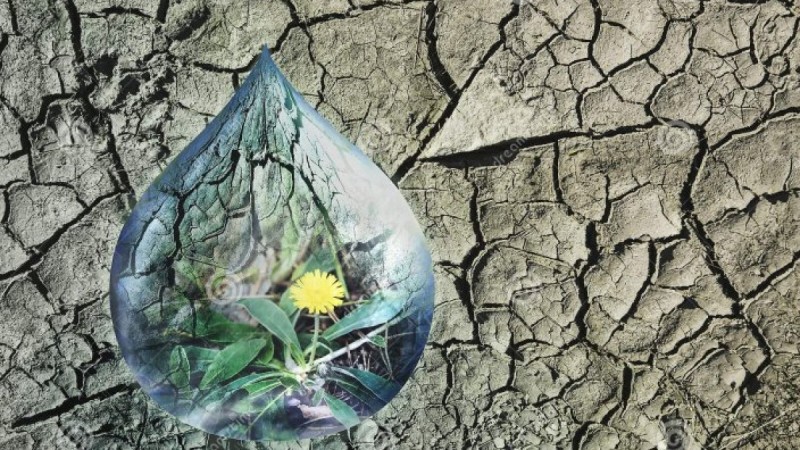 Министр: Қазақстанда су мөлшері төмендеуі мүмкін