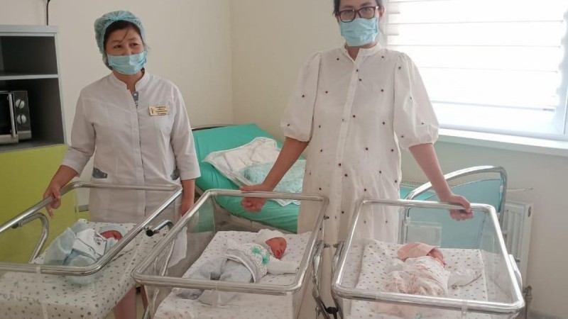 Шымкент:Үшем дүниеге келді